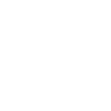 icon safety